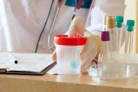 Chemichemi Health Services